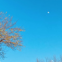 new day coming