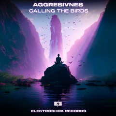 Aggresivnes - Calling The Birds