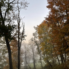 dream within a dream