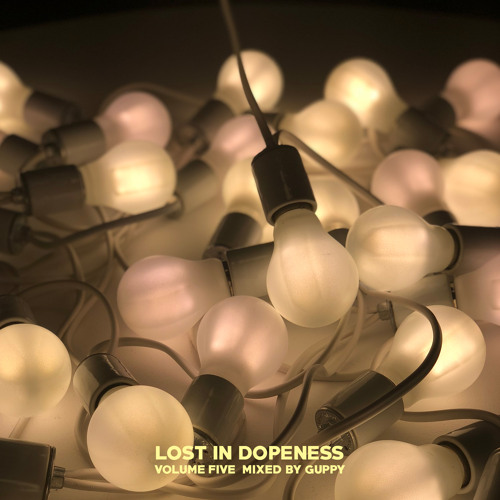Lost In Dopeness Volume Five
