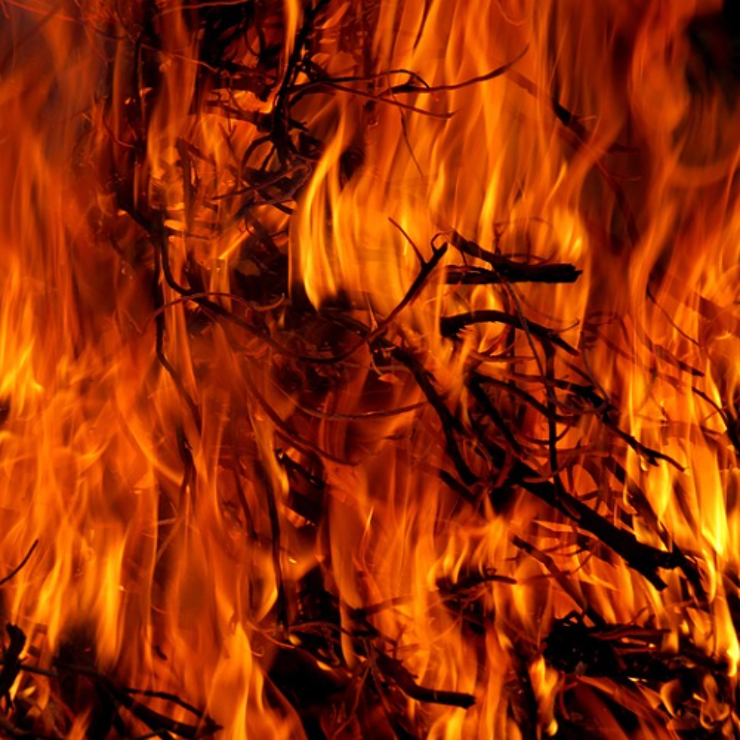 Grand Feu Bouge Les Coulisses* episode artwork