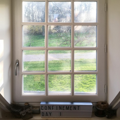 Confinement 06 (Papers From The Past, And Problems From The Present)