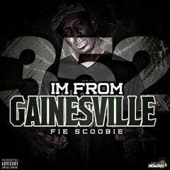 IM FROM GAINESVILLE CLEAN