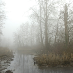 metaxu//roycecharms - VISIONS [2015]