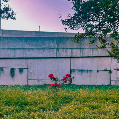 rather be solo (prod. by prodcaden)