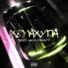 Холахупа (remix nksgocrazy)
