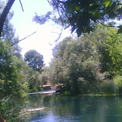 MEMPAJUNGLE