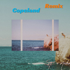 Following The Sun (Copeland Remix)