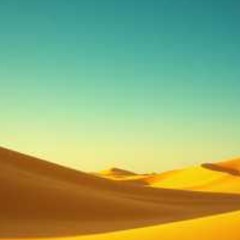 Oasis in the Sand_DJ Stef 1234_aka Steficii