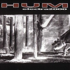 Winder + bonus track Organ Grinder - Hum