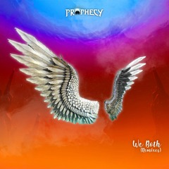 We Both (Remixes) (PHC040)