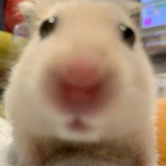 Do You Wanna Be - Thai Hoang