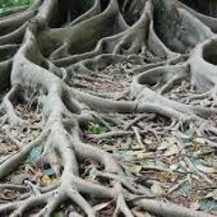 Roots (prod. Triplesixdelete)