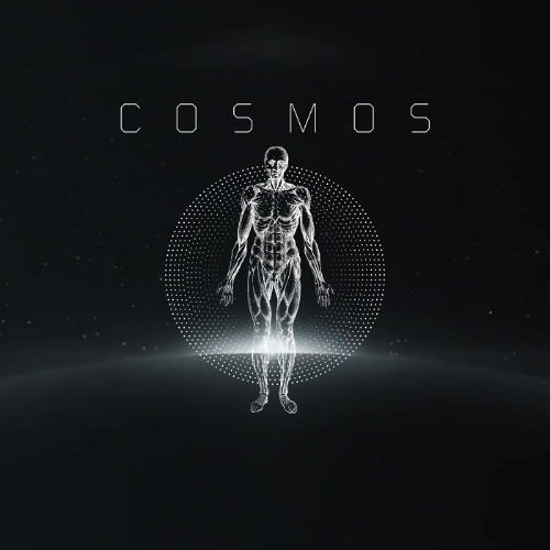 cosmos