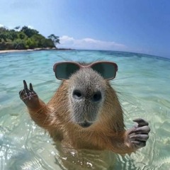 NGHE RAT HOI LONG V4  •RMX25•BI RÙA .mp3