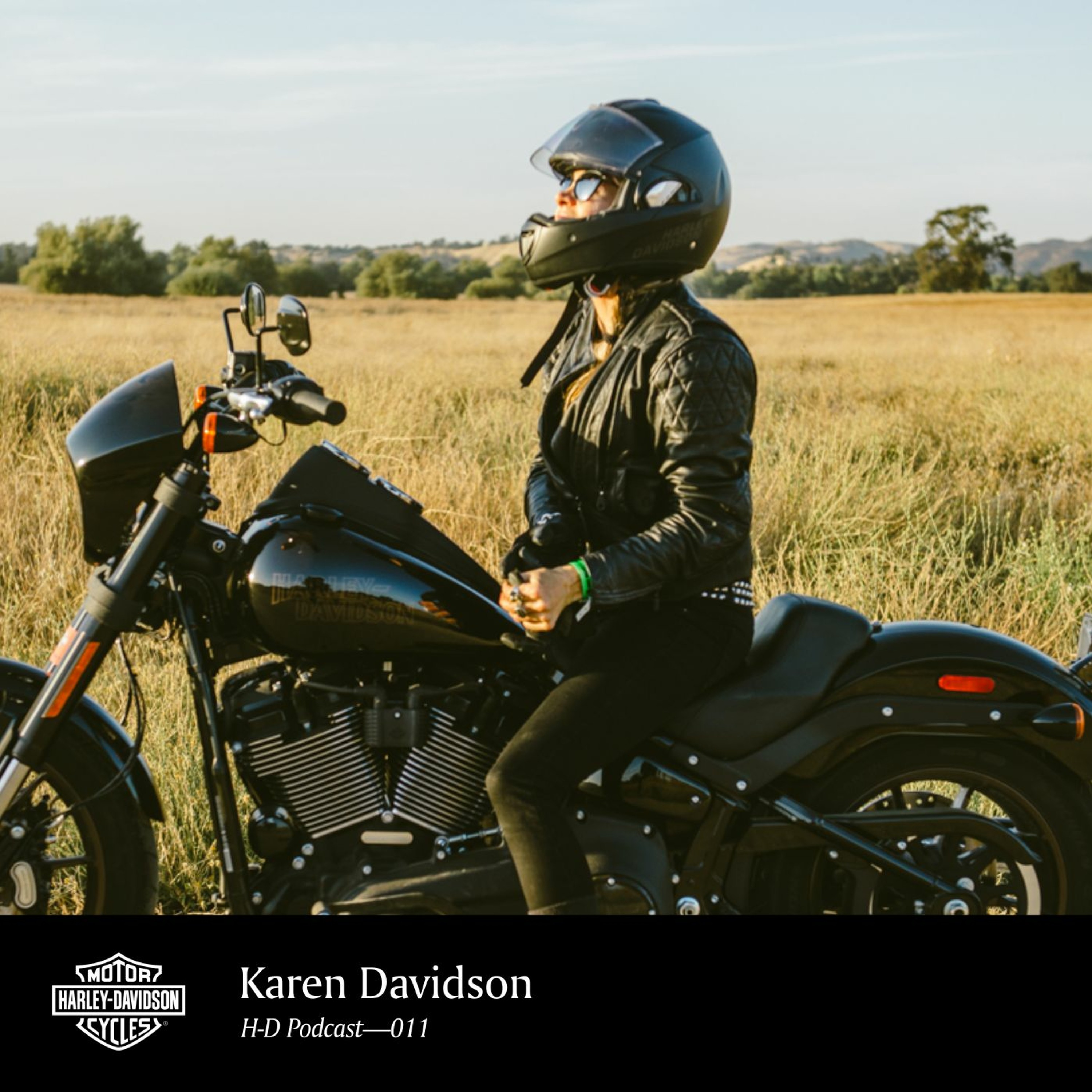 H-D Podcast