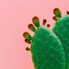 Cassage de nuque à la sauce bisontine