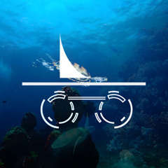 XXIII - Incognito_submerge_w. Andreea Rayne