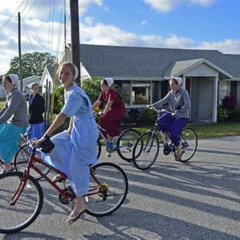 Review Special Price Amish Experience Trolley Tour: Bridges To Understanding