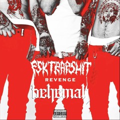 FSK SATELLITE - ANSIA NO (BEHEMAH Remix)