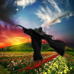 REAL LIFE SCARECROW