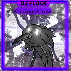 Curious Crow