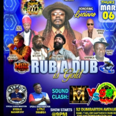 Steelie/Notorious Intl (Luciano) 3/25 ( Rub A Dub Thursdays)