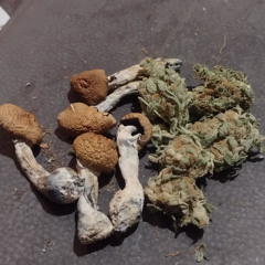 Time To Go Higher DJ Mix