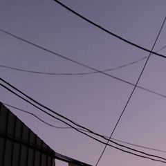 강철 방패(Demo)