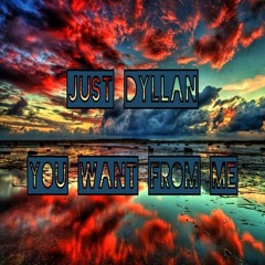 JustDyllan - You Want From Me