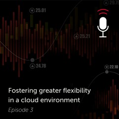 Fostering greater flexibility in a cloud environment