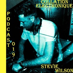 Stevie Wilson / Collation Electronique Podcast 019 (Continuous Mix)