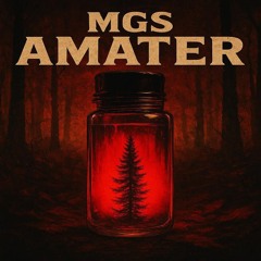 MGS - AMATER