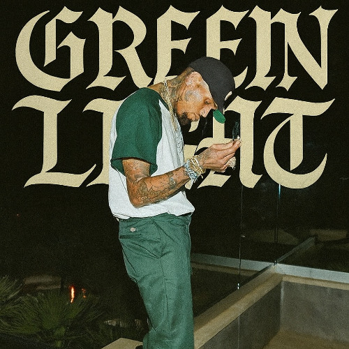 Chris Brown - Green Light (AI Original Song)