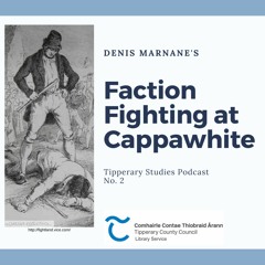 Faction fighting in cappawhite