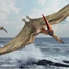 PTERODACTYL DIT for piano Op. 71, No. 9