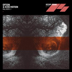 Option & Echo Motion - Concentration