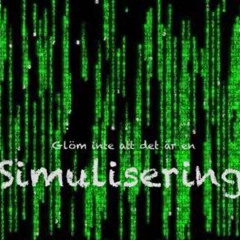 simulisering