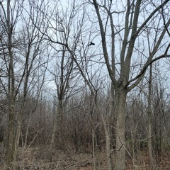 12 Ramadān Late Night Majlis Stop Running GH 04132022.mp3