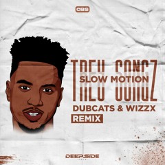 Trey Songz - Slow Motion (DubCats & WizzX Remix)[DSC]