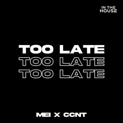 MEI, CCNT - Too Late (Original Mix)