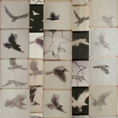 새장 하늘 줄무늬