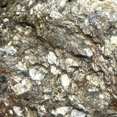 Grief Work Episode 4