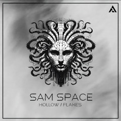 Sam Space - Hollow [Premiere]