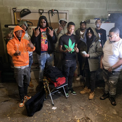 FREESTYLE 31