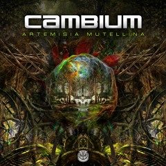 Cambium - Artemisia Mutellina (Full Track) @Follow us on Spotify