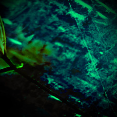 2. As the smack begins to flow