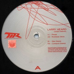Larry Heard - Riverside Drive