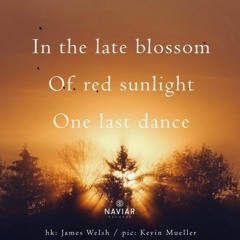 Blossom of Red Sunlight [NaviarHaiku444]
