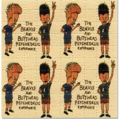 The Beavis and Butt-Head Psychedelic Experience